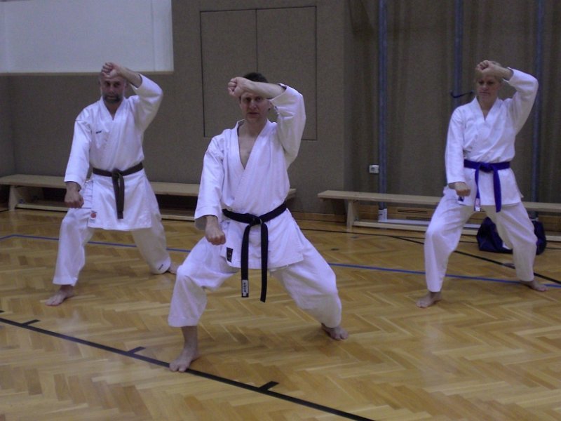 Dojo 2010-02